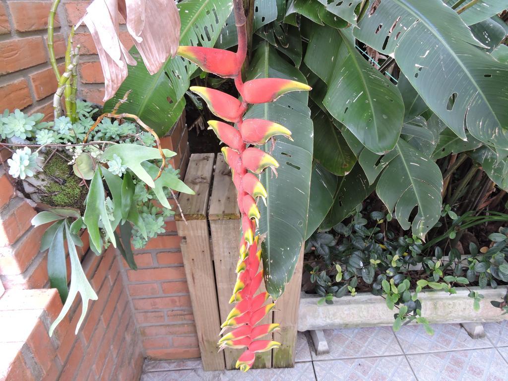 Pousada Don Alberto'S ฟลอเรียนอโปลิส ภายนอก รูปภาพ